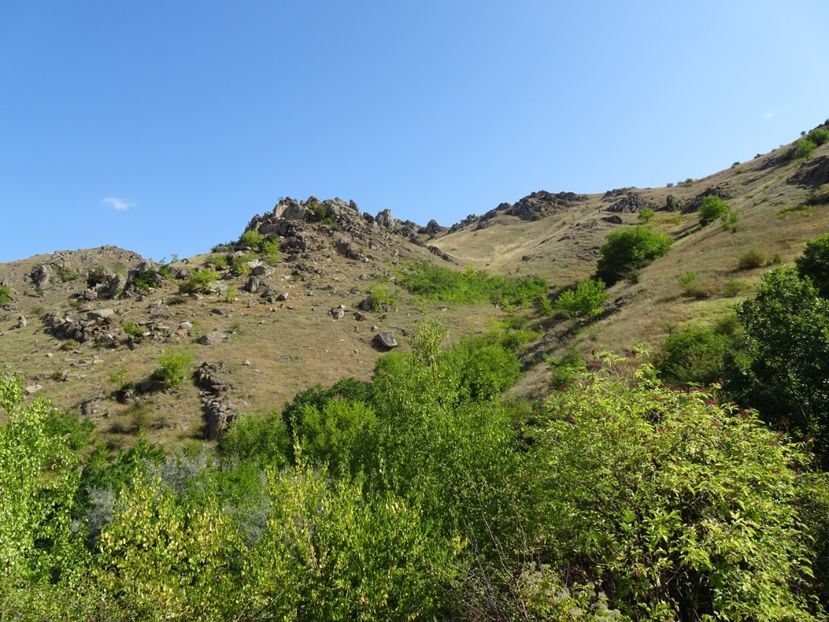  - Muntii Macin - Culmea Pricopanului