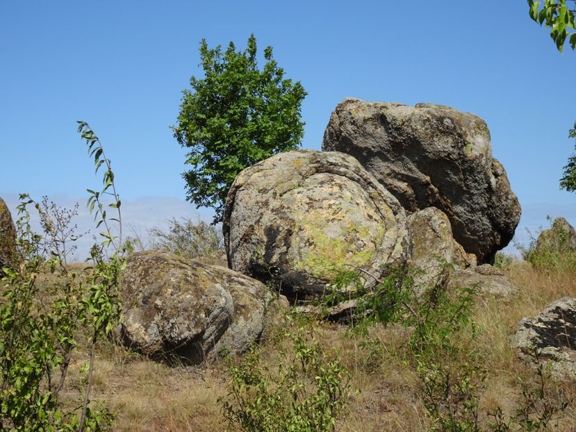  - Muntii Macin - Culmea Pricopanului