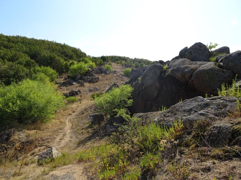  - Muntii Macin - Culmea Pricopanului