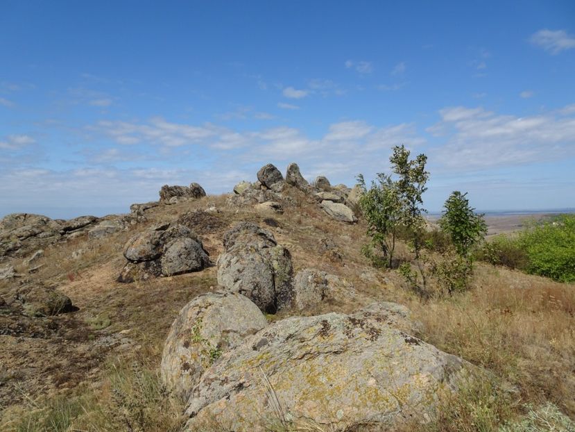  - Muntii Macin - Culmea Pricopanului