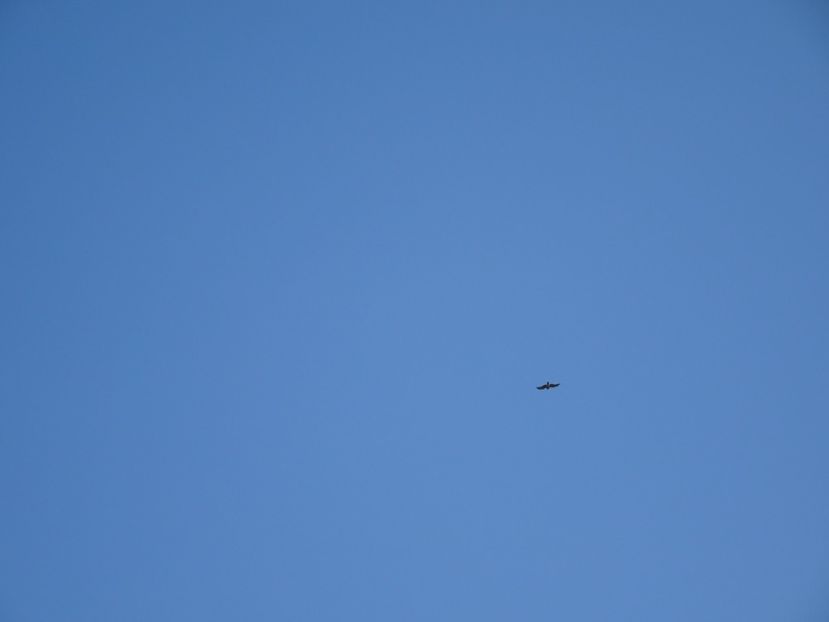  - Muntii Macin - Culmea Pricopanului