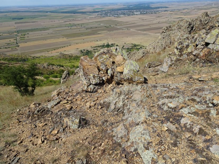  - Muntii Macin - Culmea Pricopanului