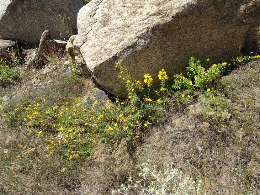  - Muntii Macin - Culmea Pricopanului