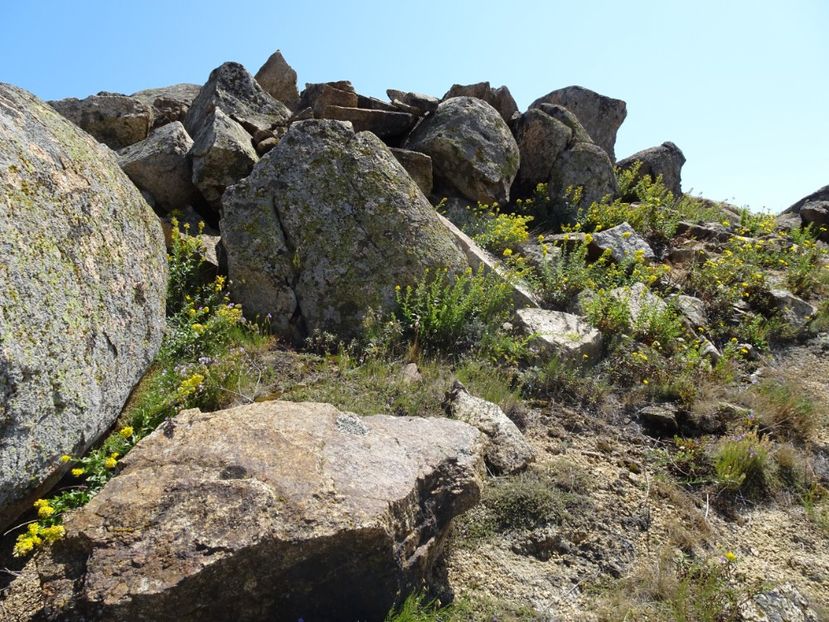  - Muntii Macin - Culmea Pricopanului