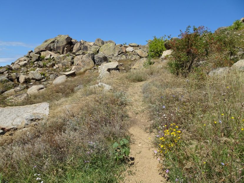  - Muntii Macin - Culmea Pricopanului