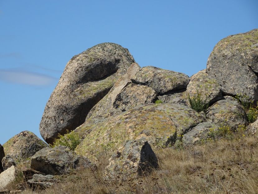  - Muntii Macin - Culmea Pricopanului