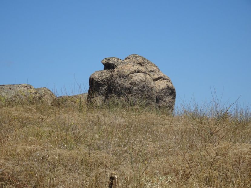  - Muntii Macin - Culmea Pricopanului