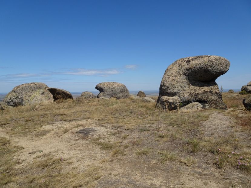  - Muntii Macin - Culmea Pricopanului