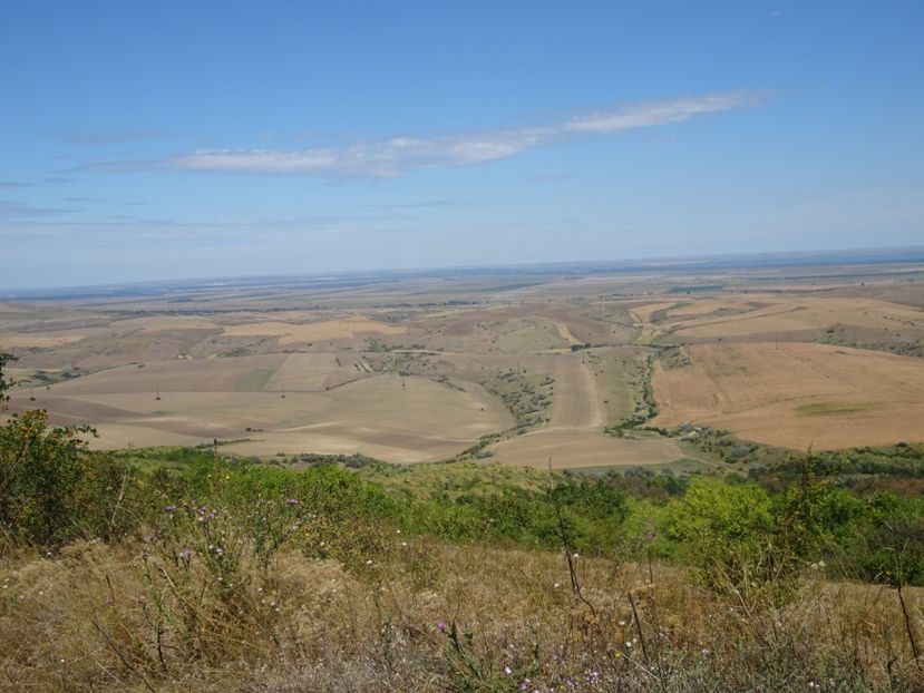  - Muntii Macin - Culmea Pricopanului