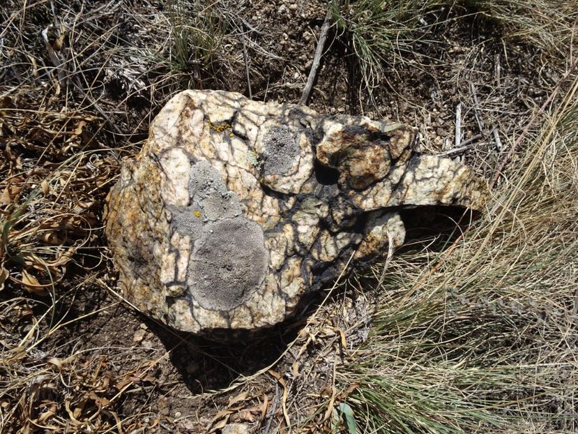  - Muntii Macin - Culmea Pricopanului