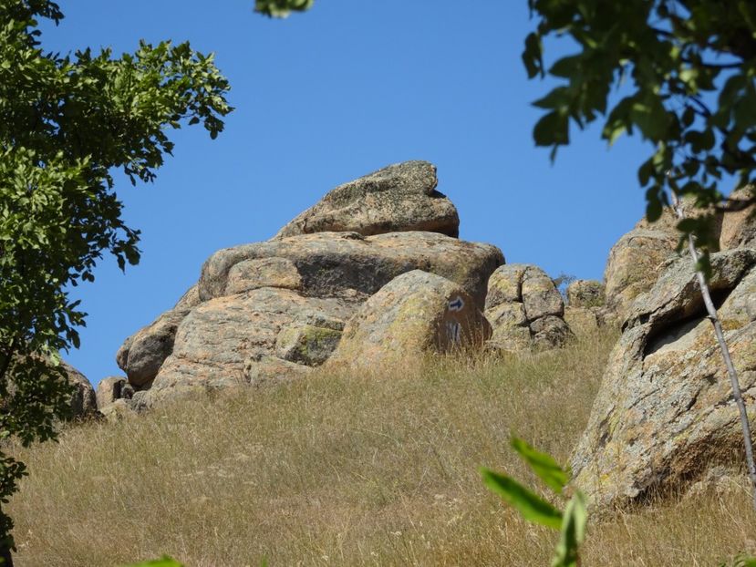  - Muntii Macin - Culmea Pricopanului