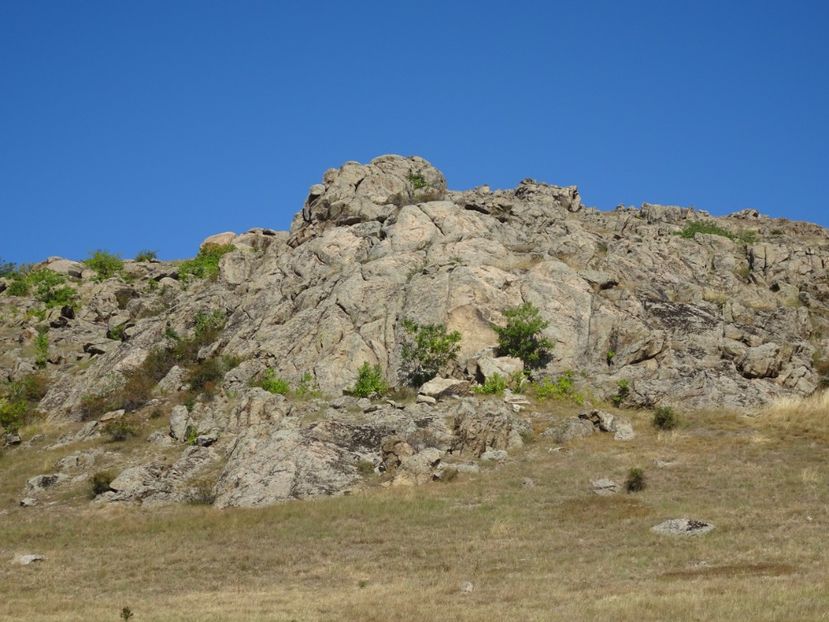  - Muntii Macin - Culmea Pricopanului