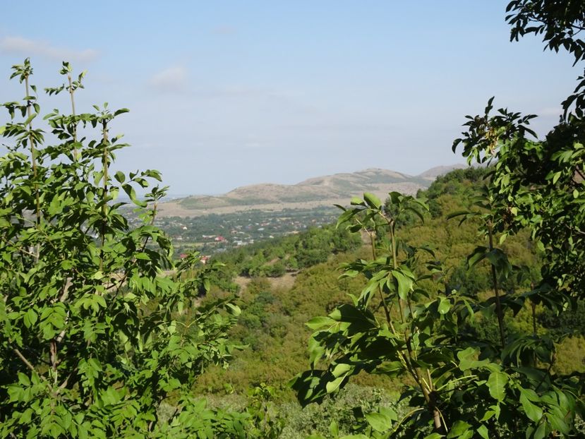  - Muntii Macin - Varful Tutuiatu