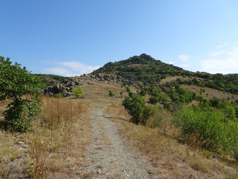  - Muntii Macin - Varful Tutuiatu