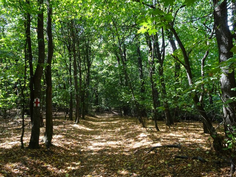  - Muntii Macin - Varful Tutuiatu