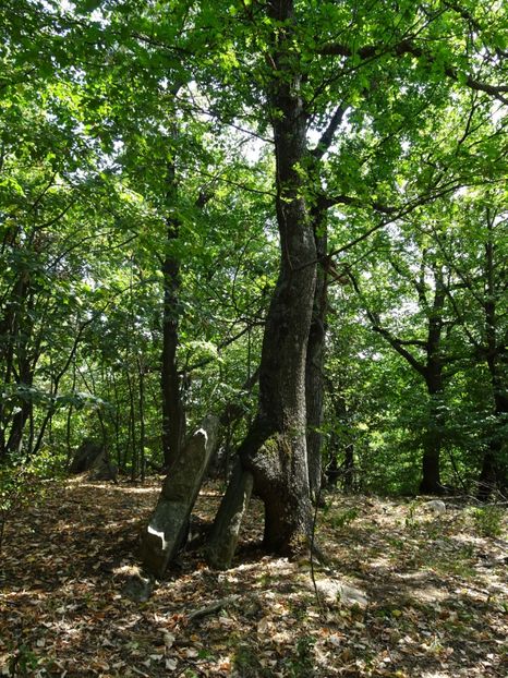  - Muntii Macin - Varful Tutuiatu