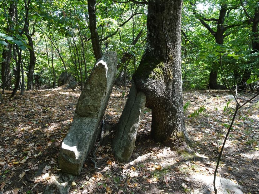  - Muntii Macin - Varful Tutuiatu