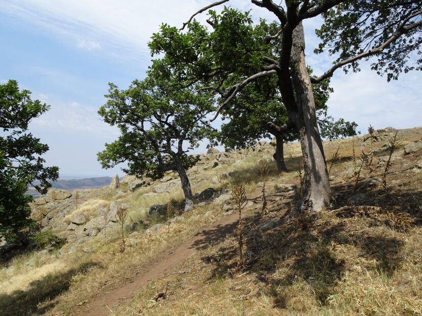  - Muntii Macin - Varful Tutuiatu