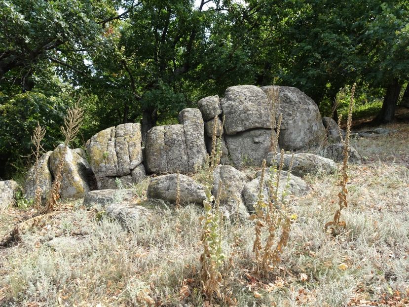  - Muntii Macin - Varful Tutuiatu