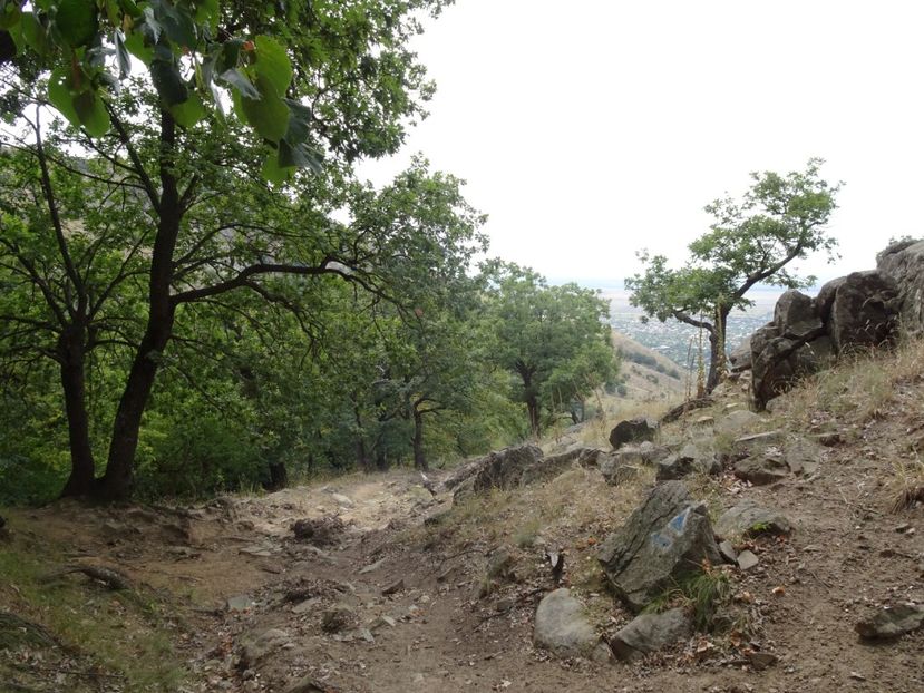  - Muntii Macin - Varful Tutuiatu