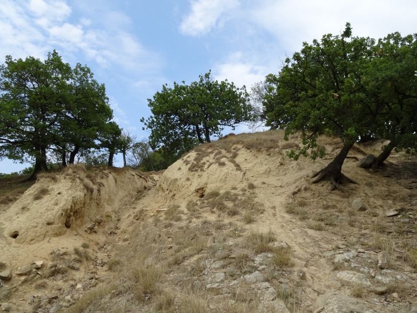  - Muntii Macin - Varful Tutuiatu