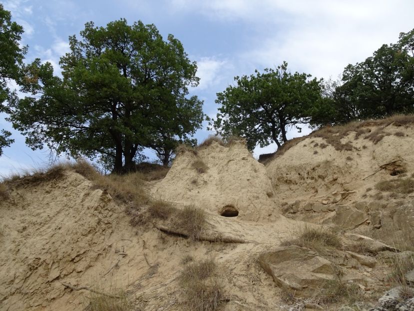  - Muntii Macin - Varful Tutuiatu