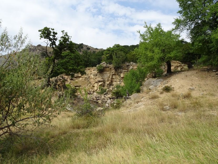  - Muntii Macin - Varful Tutuiatu