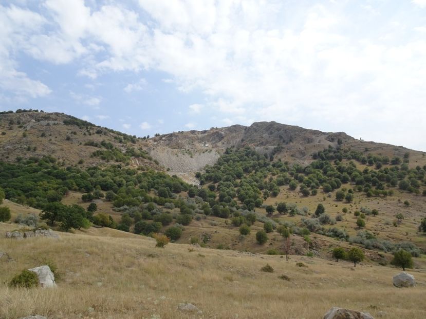  - Muntii Macin - Varful Tutuiatu