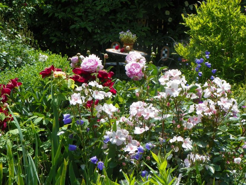 13 iun (174) - Gradina 2019