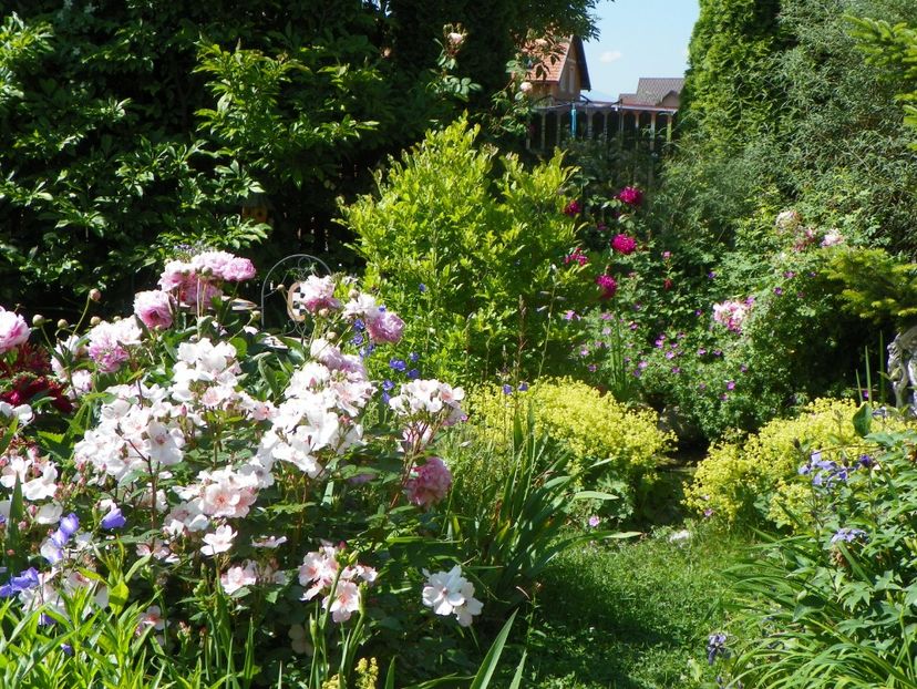 13 iun (319) - Gradina 2019