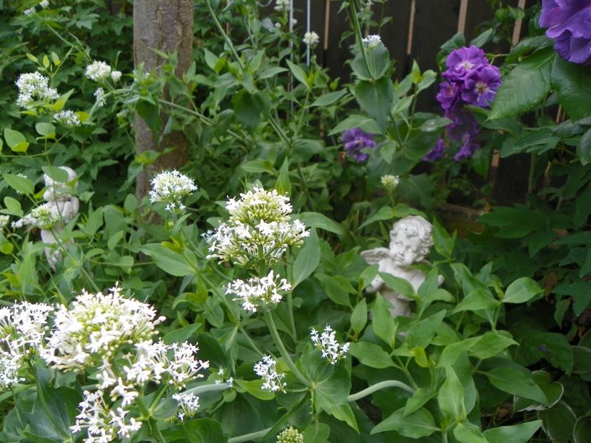 13 iun (143) - Vara 2019