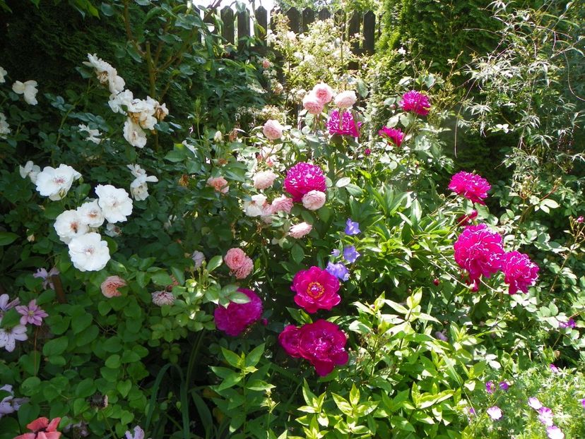 13 iun (270) - Vara 2019