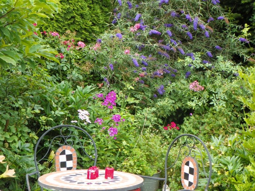 11 iul (124) - Gradina 2019