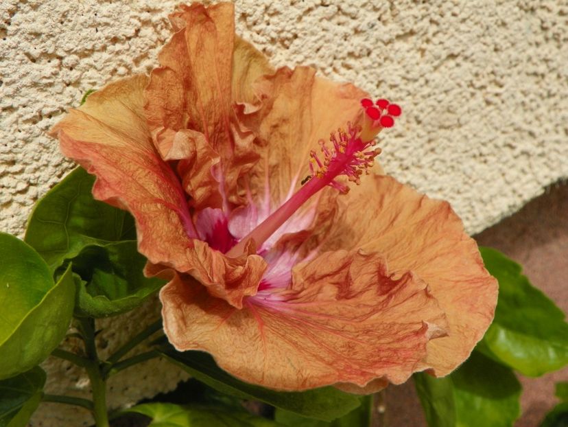 11 iul (120) - Vara 2019