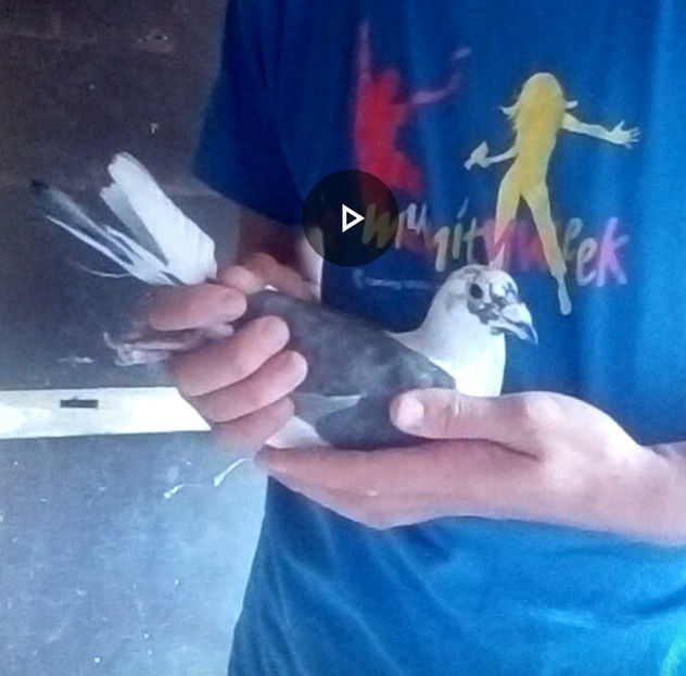 1567437860710_adobe - 2014-2018