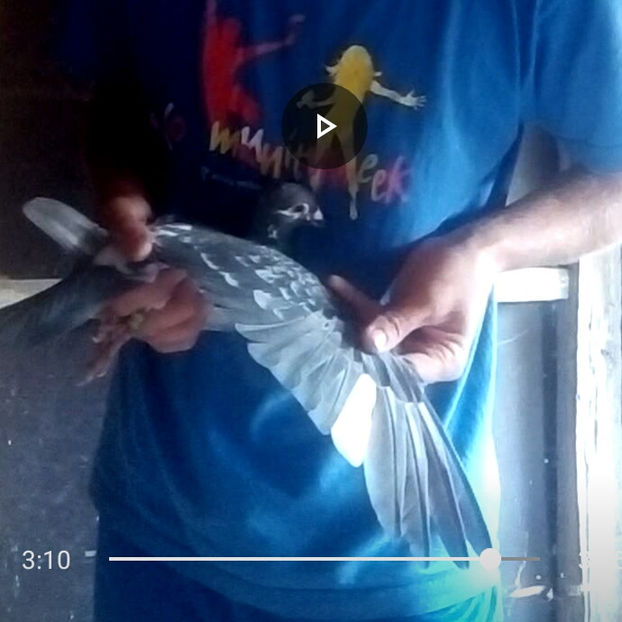 1567437742918_adobe - 2014-2018