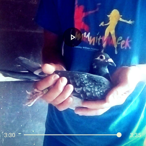 1567437542519_adobe - 2014-2018