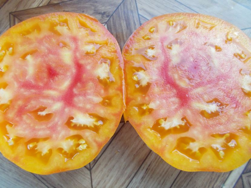  - SEMINTE ROSII - T 361 CHALILIS