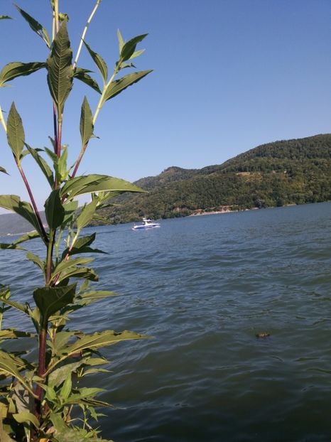  - Orșova septembrie 2019