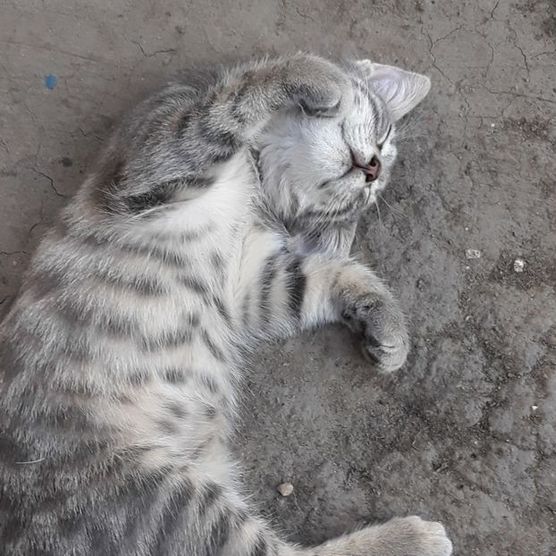  - Iubiri mici!