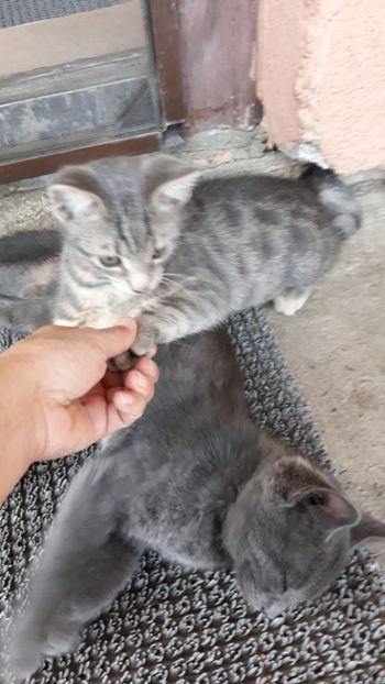  - Iubiri mici!
