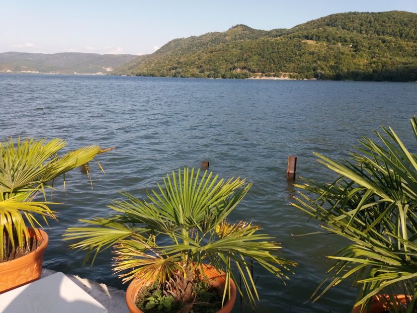  - Orșova septembrie 2019