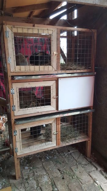  - 2 casa  VILA APIA  2008-2009