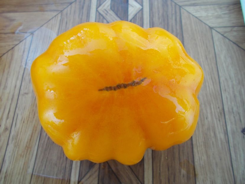  - SEMINTE ROSII - T 401 ACCORDEON