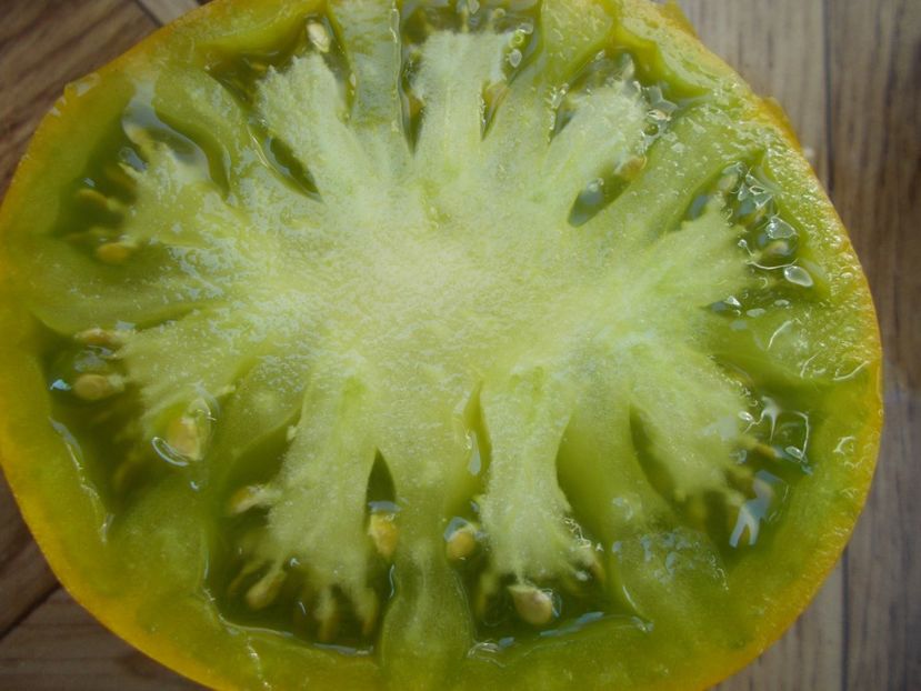  - SEMINTE ROSII - T 407 BELLE MAURINOISE VERTE