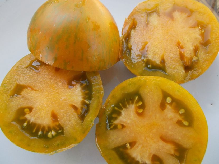  - SEMINTE ROSII - T 405 BABYLON S GLOW