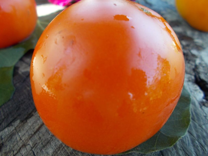  - SEMINTE ROSII - T 408 ILYA MUROMETS