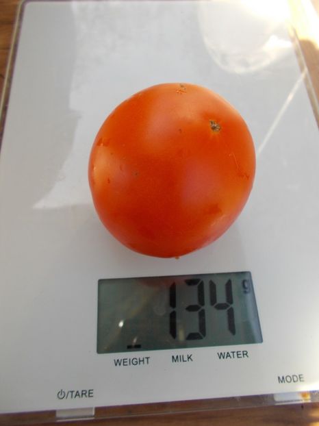  - SEMINTE ROSII - T 408 ILYA MUROMETS