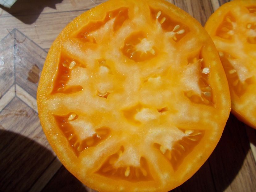  - SEMINTE ROSII - T 408 ILYA MUROMETS