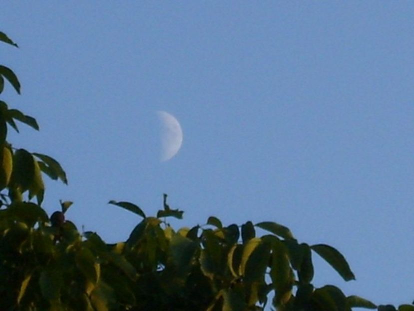 Luna in crestere in Sagetator - Luna - Soarele si norii - 2